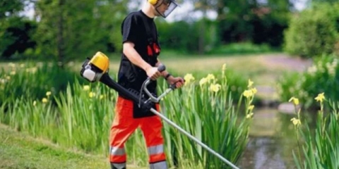 Kako odabrati dobru kosilicu za ljetnu rezidenciju?